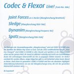 Flyer zur Party Joue Joue Erfurt 2005
