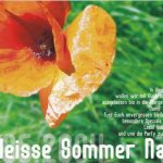 Flyer zur Party Open Air Grossheringen 2004, Funkbrothers, Friendly, Double U, Perry Kain, Rene Dumont, Rene N., Matze, DJ Joker, Bass T